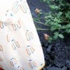 予定の勘違いで生まれた息子との時間、「何気ない時間が、いちばん贅沢だった」と感じた朝