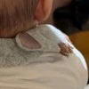 後頭部だけでこんなにかわいい。赤ちゃんの何気ない一枚に4,000いいね「可愛いすぎます」「愛らしすぎる」