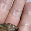 【ほっこり】子どもの世界がぐっと広がった話に3,100いいね「この先が楽しみ」「将来の考古学者」
