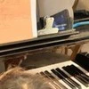 【最高の誕生日プレゼント】世界に一つの演奏会に800いいね「羨ましい限り」「偉い」