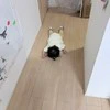 「これはイヤイヤ期の扉を開いていますか？」イヤイヤ期の片鱗を示す息子の写真に共感の声「まさに同じ感じになってたw」