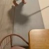 【我が家のルンバズ】かわいすぎ！協力してお掃除する双子ちゃんの姿に2,700いいね「優秀すぎ」「家に欲しい」