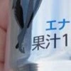 「阿波踊り専用」エナジードリンク!? 徳島のご当地ドリンクに2,900いいね「ワクワクする」「美味しそう」