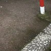 衰弱した黒猫を発見→地域の人たちがつないだ命に8,500いいね「皆さんの優しさに感動」