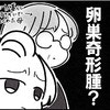 きっかけは尿管結石…検査の結果、卵巣奇形腫も判明！｜卵巣嚢腫手術レポ