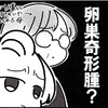 きっかけは尿管結石…検査の結果、卵巣奇形腫も判明！｜卵巣嚢腫手術レポ