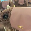 【完全に擬態化】新幹線の座席に置いたバッグに思わず二度見！22万いいね「カメレオン」「腰当てに見える」