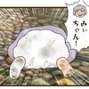 いなくなった孫を探しに沢へ、落ちていた靴の先に祖母が見たものとは！？｜一歳児が山で行方不明になった話