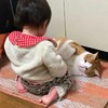 「人生1年目」の悩みを真剣に聞く「人生2年目」の先輩猫→尊い密談に1.7万いいね「癒やされました」「解決策を教えてあげて」