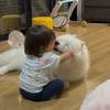 『飼い主には見せない顔』子どもに撫でられる愛犬の表情に15万いいね「お子にだけ見せる顔」「あまりに可愛すぎる」