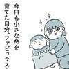 ちいさな命を育てた私、本当にすごい！ママパパに送るエール｜親サポートなしで初産・育児どうにかなりました