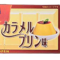 セブン‐イレブンの数量限定アイス2品 『板チョコアイス』はカラメルプリン味