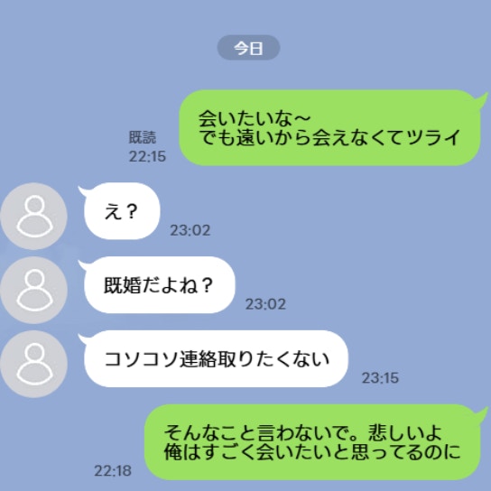 夫がネット上で浮気？寂しいから浮気をしたと責められた妻だけど…