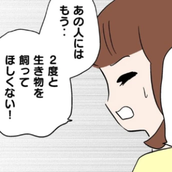 あの人には、もう二度と生き物を飼ってほしくない｜猫を飼えなくなったからわが家に連れてきた