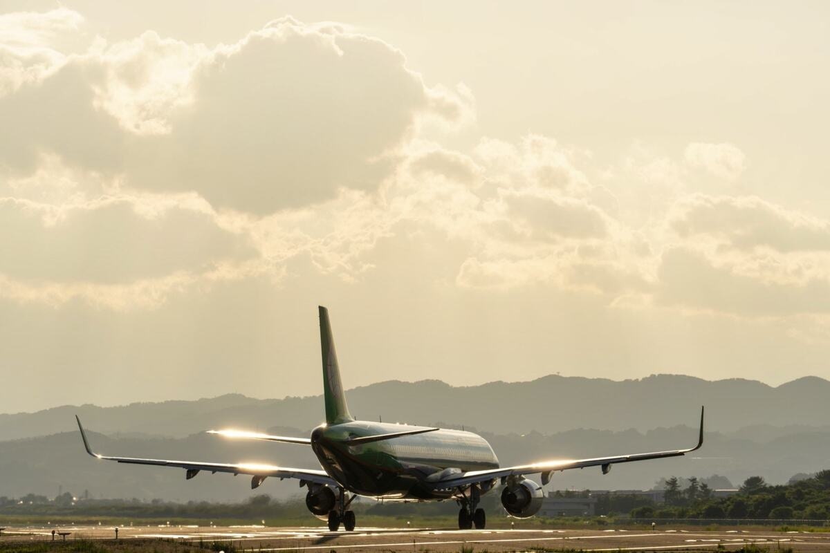 「ハネムーンはキャンセル」60万円の借金“踏み倒し”→弟夫婦の【情けない末路】｜お金を返さない弟夫婦