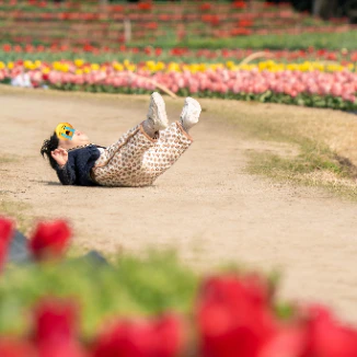 【イヤイヤ期inチューリップ畑】美しすぎる背景とイヤイヤポーズのコラボに5万いいね「良い思い出」