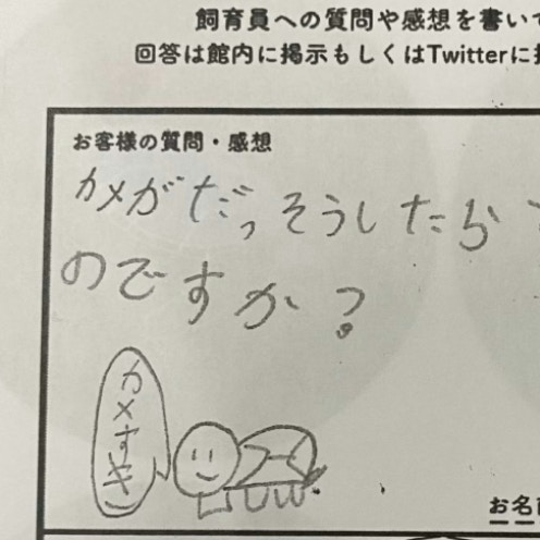 カメが脱走したら？質問箱に飼育員が【絵入り神回答】8万いいね集まる「イラストに癒やされた」