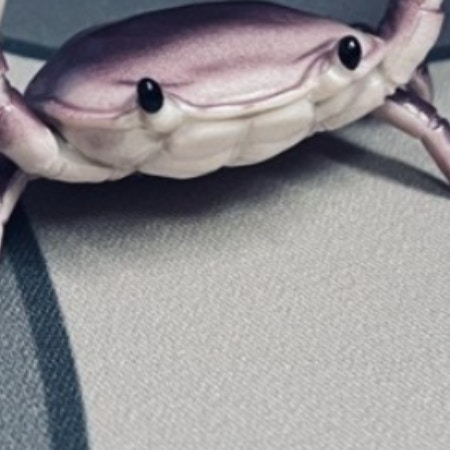 かわいいのに【なぜか脅迫】ペン立てカニさんが見せる二面性に8万いいね「かわいい」「切るなよ…」