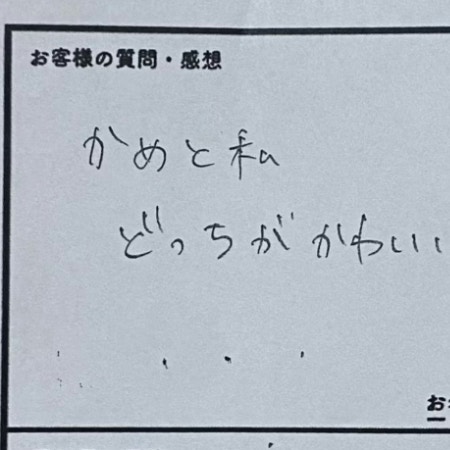 「かめと私、どっちがかわいい？」質問箱に寄せられた声 → 飼育員の切れ味バツグンな一言に20万いいね