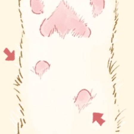 【どう呼んでる？】猫の肉球の“小さいところ”→独自の呼び名に4.5万いいね「隠し豆」「余りの肉球」