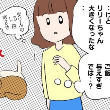 数ヶ月で別猫レベルに肥満化…「ご飯与えすぎ？」と心配したワケ｜猫を飼えなくなったからわが家に連れてきた