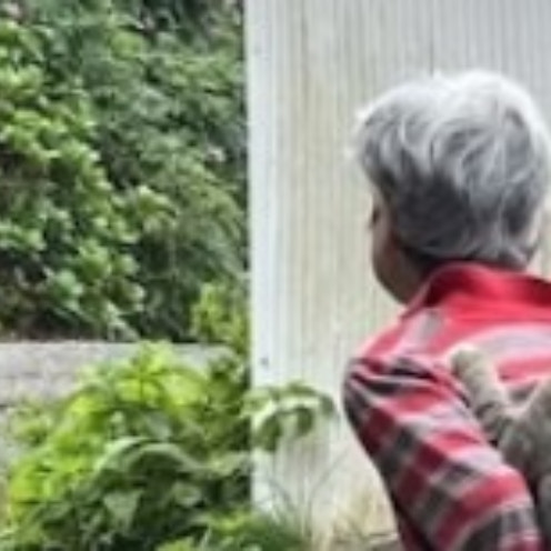 野菜をくれたおばあちゃん→帰っていく背中に「いや…」平和なツッコミに9万いいね「笑った」「ほっこり」