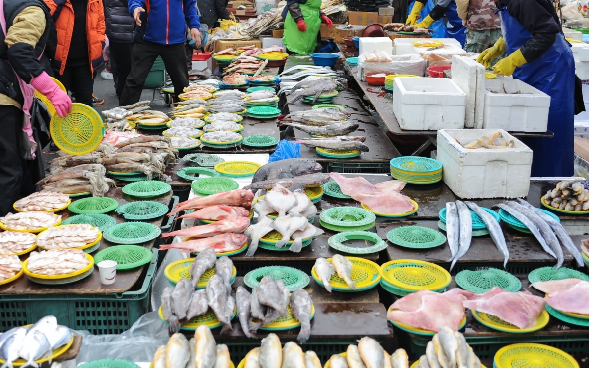 終末期の愛猫のため鮮魚店へ…飼い主の思いに11万いいね「全て愛おしい」「魚屋さんも粋」