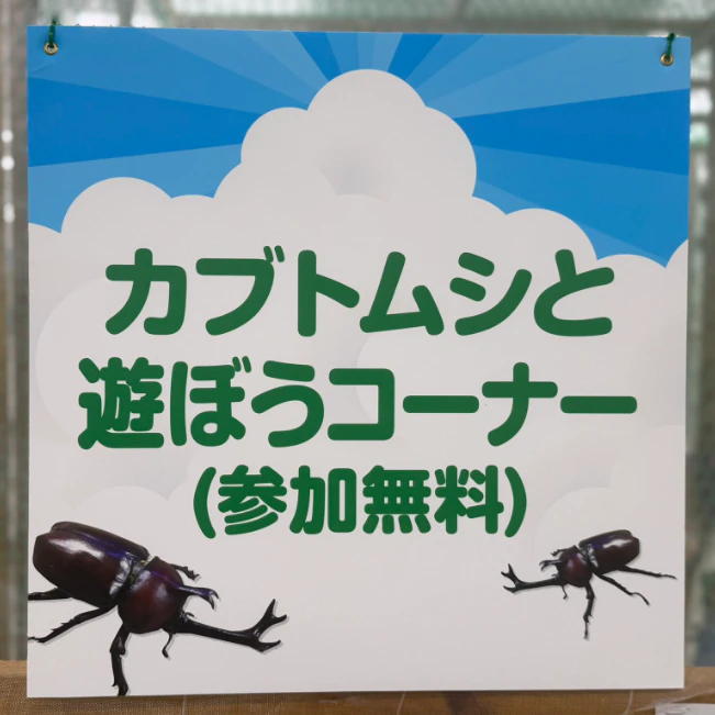 昆虫博でカブトムシを触り続ける息子→5時間付き合った母の奮闘に1.3万いいね「褒め称えたい」「仲間に入れますか」