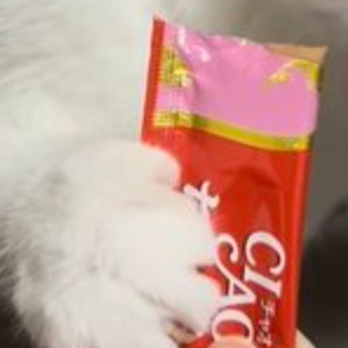 至福だニャ～！『猫生初ちゅーる』愛猫の表情に1.1万いいね「なんて幸せそうなお顔！」「かわいい」
