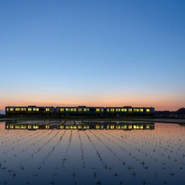 「まるでアニメのワンシーン」幻想的な写真に1.3万いいね「うっとりします」「千と千尋の神隠し」