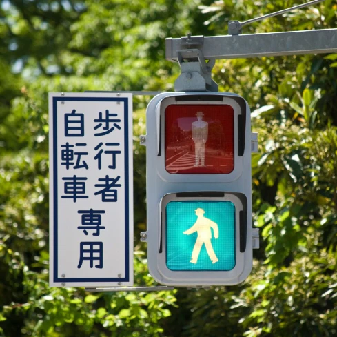 幼児が信号機の“変化”を目撃して衝撃のリアクション→「この世のしくみ」に気づいた瞬間に2.5万いいね