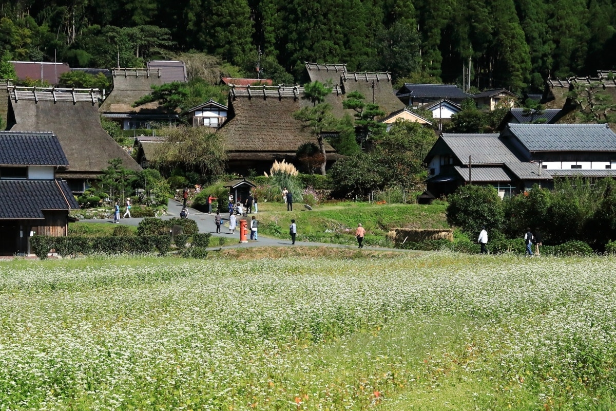 敷地内同居でも“境界線ははっきりと”、義母とした重大な約束｜アポなし義母はお断り