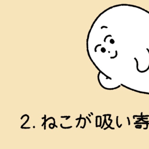 「まじでこれ！」猫が吸い寄せられる“ねこホイホイ”現象に1.5万いいね「うちの猫も」「犬も成立する」