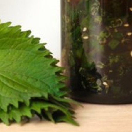 【サラダが消える】シェフ直伝！暑い時期にぴったりな絶品ドレッシングに7千いいね「大葉を大量消費」