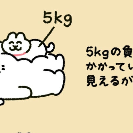 「5kgの猫が乗っている状態とは…」猫飼いが大共感の投稿に7.3万いいね「致命傷を負うことも」