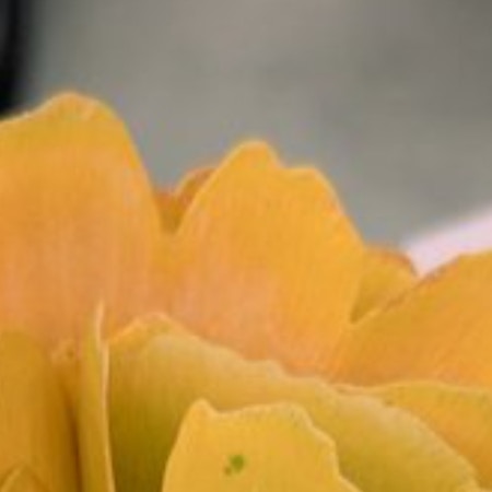 7歳児作“イチョウの花束”に4万いいね→美しすぎる出来栄えに「発想が素晴らしい」「素敵」