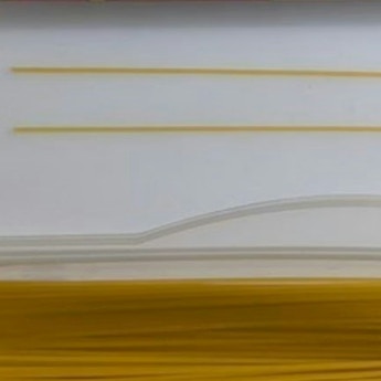 【レア】まさかのエラー品？パスタに紛れた“奇跡の1本”に4.8万いいね「ど根性ｗ」「極々稀に」