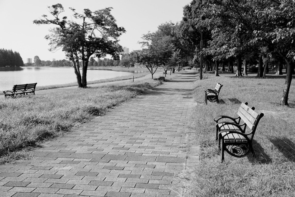 町内会のお祭り準備に行ったら→公園には誰一人いない…理由を想像してゾッとする｜フレネミーママ友