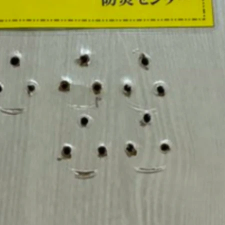 トイレのドアが【穴だらけ】理由に妙案集まり4万いいね「フックにしたら？」「補強して」