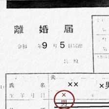 離婚届まで修正だらけ…最後まで抜け漏れだらけの夫とついに離婚｜結婚10か月でサレ妻に転落