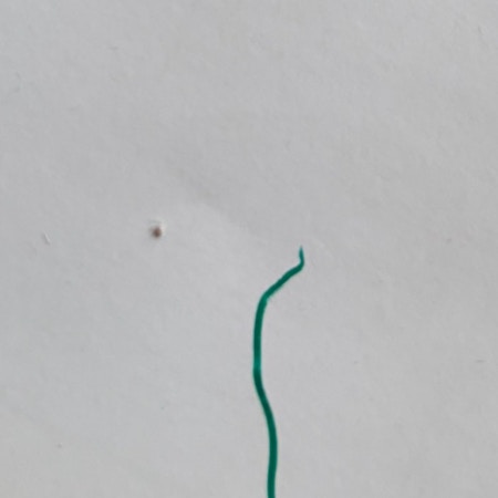 「たまらなくかわいい」2歳が描いた“ゆる絵”にほっこり、その時期しか見られないタッチに愛あふれる