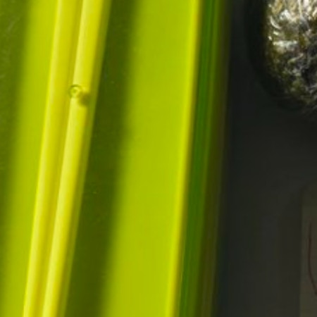 昼休みに「ちょっと泣いた」→小1から父への“サプライズ”に1万いいね「グッとくる」「良い子」