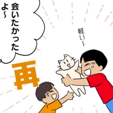 ｢会いたかったよー｣久しぶりの再会に喜ぶ兄弟｜猫を飼えなくなったからわが家に連れてきた
