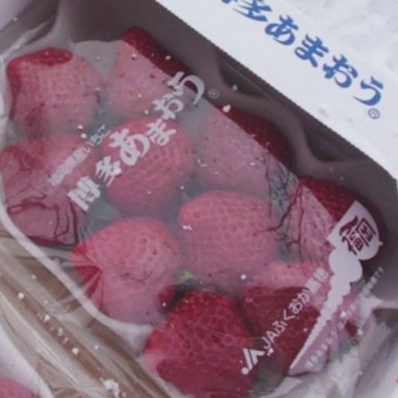 「いちご食べたいひとは手を挙げて」堂々と挙手する光景に6万いいね「はい」「眼差しが真剣」
