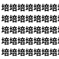 激似1文字チャレンジ！【1文字だけ違う】漢字間違い探しで脳トレ、何秒で見つかる？