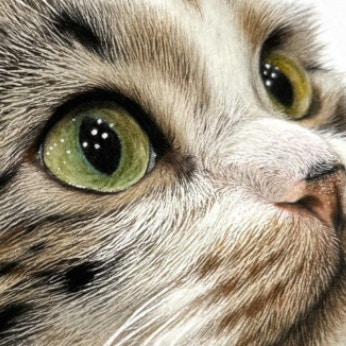 透き通る目の猫がまさか…！画家による驚愕の投稿に3.2万いいね「うっそやろ」「生きてますね」