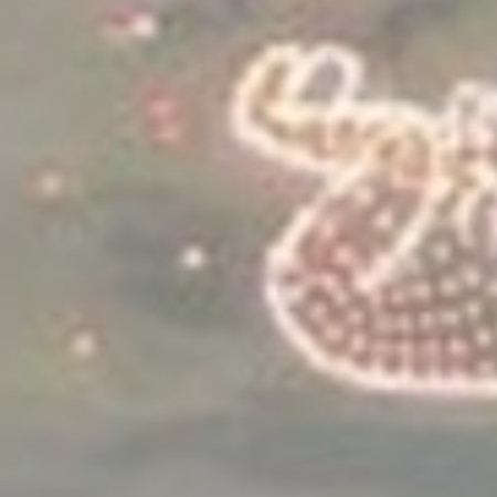 「ご利益あるかも」妊活中女性が撮影→完成度高いドローン花火に5千いいね「かわいい」「これはすごい」