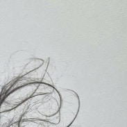 ただの寝ぐせが奇跡のアートに？7万いいね集めた髪型に「ファンタスティック」「重力の使い手か…」