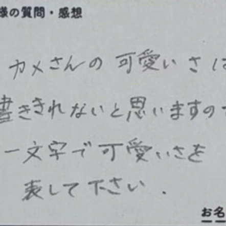 【センスの塊】カメのかわいさを1文字で表して→かっこよすぎる「1文字チョイス」に6万いいね「草ｗ」