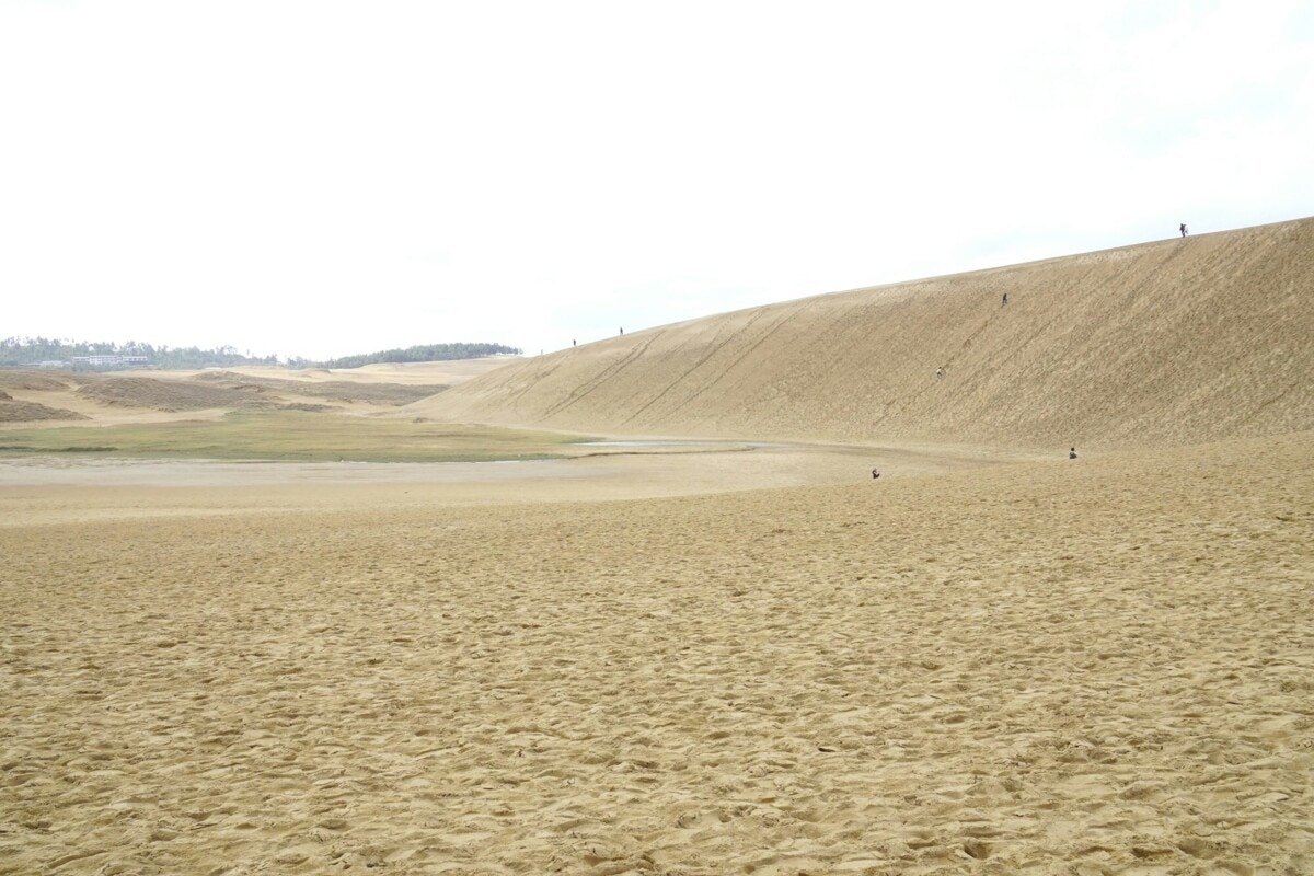 砂丘